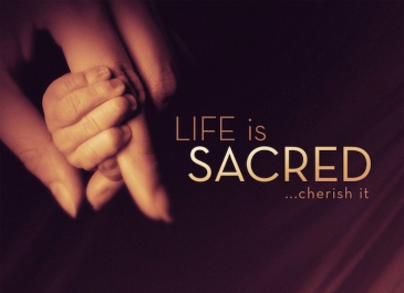 life_is_sacred_std_t-copy